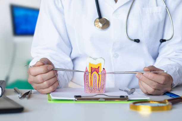 Best Emergency Gum Pain Relief  in Crystal, MN